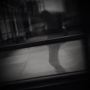 Meet your Posher, Seth